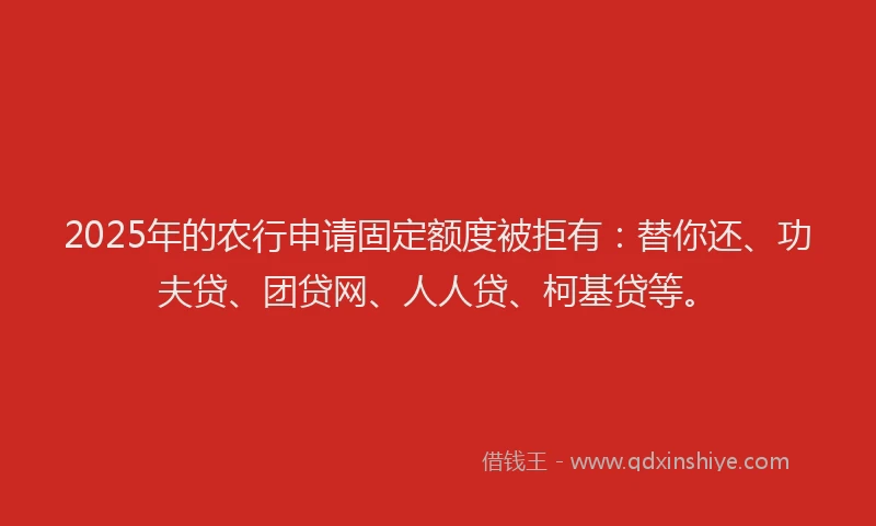 2025年的农行申请固定额度被拒有：替你还、功夫贷、团贷网、人人贷、柯基贷等。