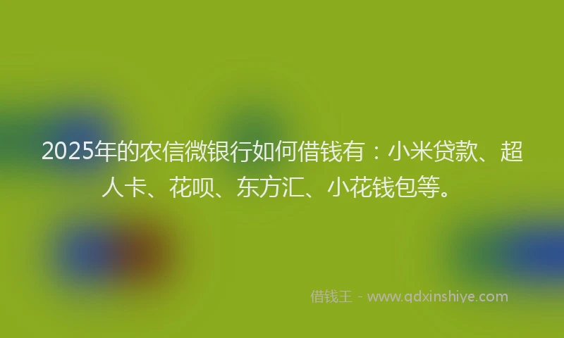 2025年的农信微银行如何借钱有：小米贷款、超人卡、花呗、东方汇、小花钱包等。