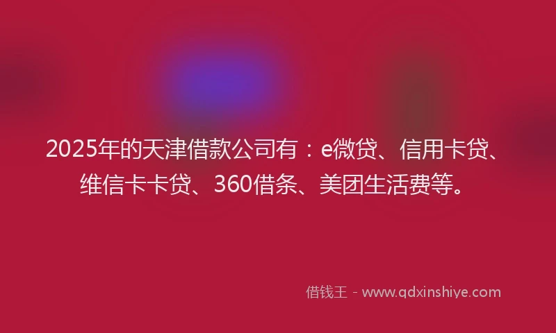 2025年的天津借款公司有：e微贷、信用卡贷、维信卡卡贷、360借条、美团生活费等。