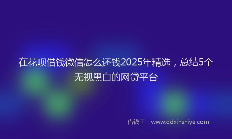 在花呗借钱微信怎么还钱2025年精选，总结5个无视黑白的网贷平台