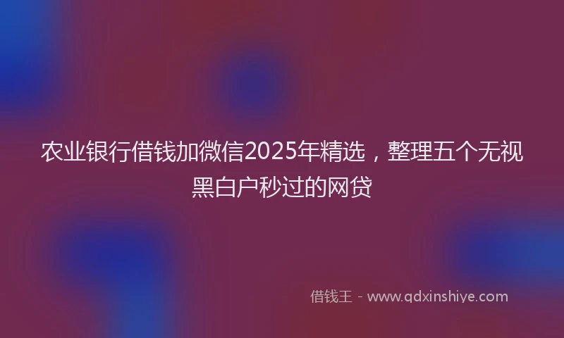 农业银行借钱加微信2025年精选，整理五个无视黑白户秒过的网贷