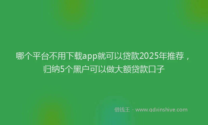 哪个平台不用下载app就可以贷款2025年推荐，归纳5个黑户可以做大额贷款口子