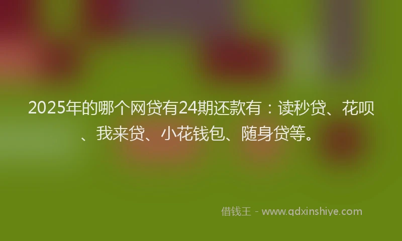 2025年的哪个网贷有24期还款有：读秒贷、花呗、我来贷、小花钱包、随身贷等。