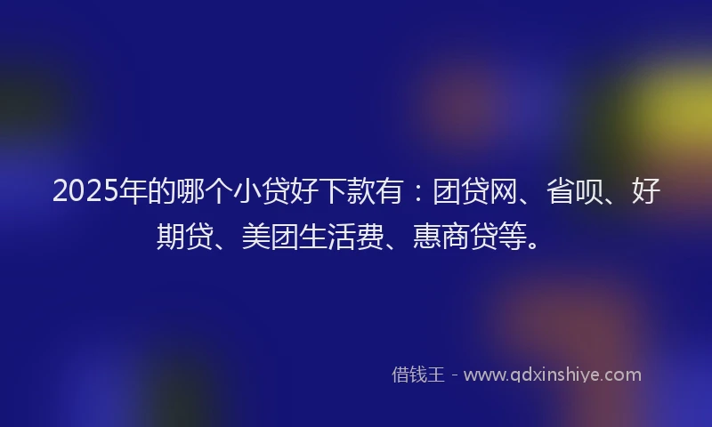 2025年的哪个小贷好下款有：团贷网、省呗、好期贷、美团生活费、惠商贷等。