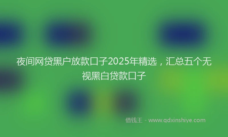 夜间网贷黑户放款口子2025年精选，汇总五个无视黑白贷款口子