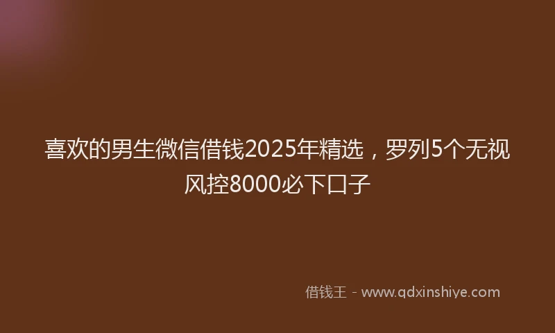 喜欢的男生微信借钱2025年精选，罗列5个无视风控8000必下口子