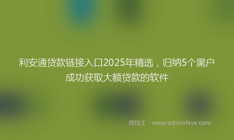 利安通贷款链接入口2025年精选，归纳5个黑户成功获取大额贷款的软件