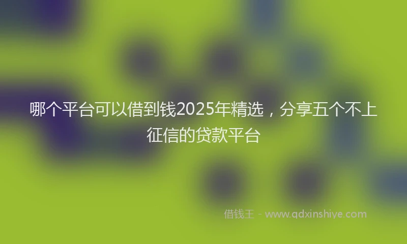 哪个平台可以借到钱2025年精选，分享五个不上征信的贷款平台