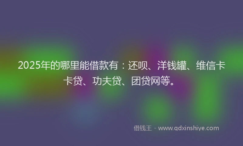 2025年的哪里能借款有：还呗、洋钱罐、维信卡卡贷、功夫贷、团贷网等。