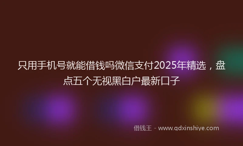 只用手机号就能借钱吗微信支付2025年精选，盘点五个无视黑白户最新口子