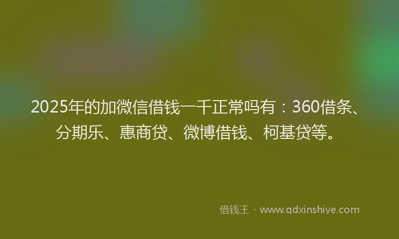2025年的加微信借钱一千正常吗有：360借条、分期乐、惠商贷、微博借钱、柯基贷等。