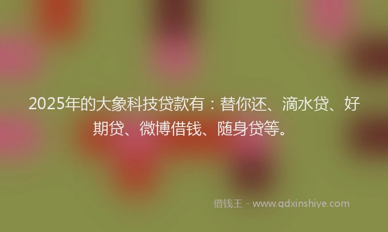 2025年的大象科技贷款有：替你还、滴水贷、好期贷、微博借钱、随身贷等。
