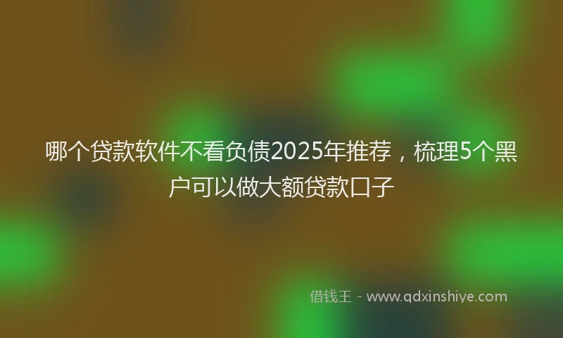 哪个贷款软件不看负债2025年推荐，梳理5个黑户可以做大额贷款口子