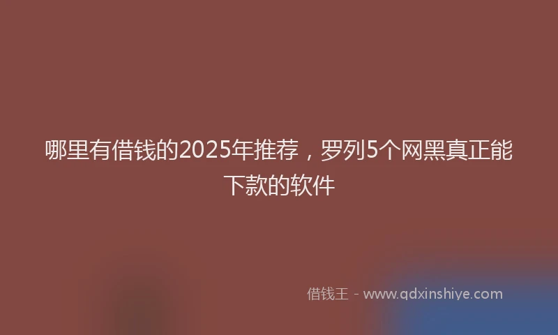 哪里有借钱的2025年推荐，罗列5个网黑真正能下款的软件