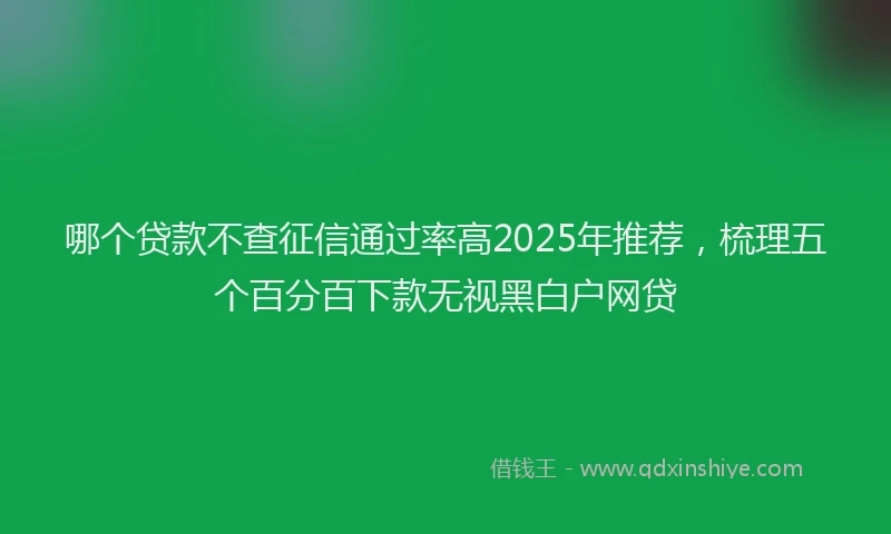 哪个贷款不查征信通过率高2025年推荐，梳理五个百分百下款无视黑白户网贷