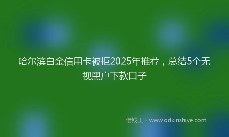 哈尔滨白金信用卡被拒2025年推荐，总结5个无视黑户下款口子
