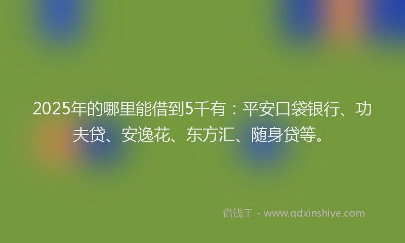 2025年的哪里能借到5千有：平安口袋银行、功夫贷、安逸花、东方汇、随身贷等。