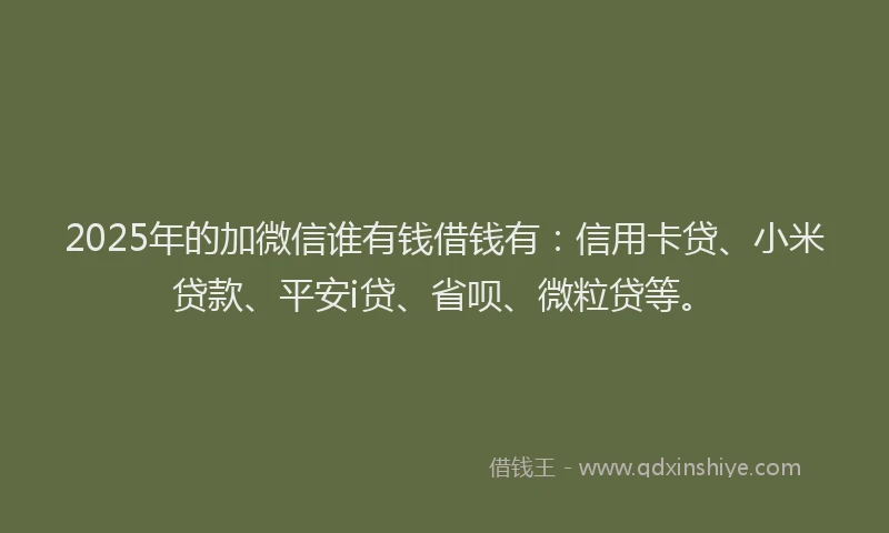 2025年的加微信谁有钱借钱有：信用卡贷、小米贷款、平安i贷、省呗、微粒贷等。
