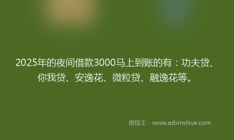 2025年的夜间借款3000马上到账的有：功夫贷、你我贷、安逸花、微粒贷、融逸花等。