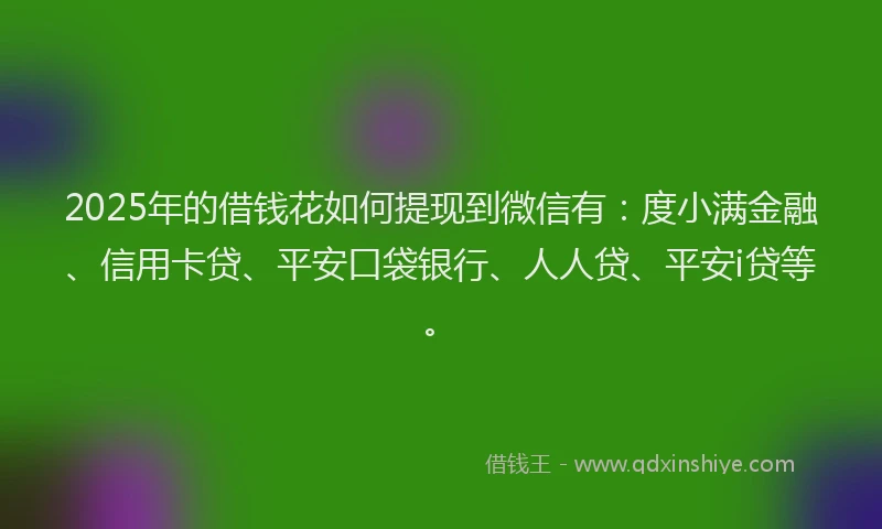 2025年的借钱花如何提现到微信有：度小满金融、信用卡贷、平安口袋银行、人人贷、平安i贷等。