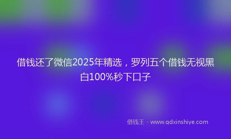 借钱还了微信2025年精选，罗列五个借钱无视黑白100%秒下口子