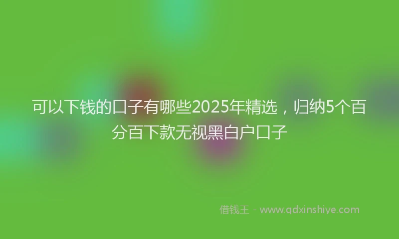 可以下钱的口子有哪些2025年精选，归纳5个百分百下款无视黑白户口子