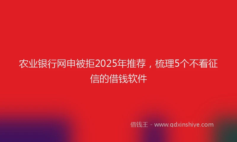 农业银行网申被拒2025年推荐，梳理5个不看征信的借钱软件
