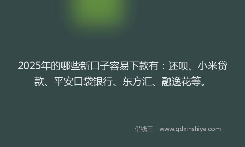 2025年的哪些新口子容易下款有：还呗、小米贷款、平安口袋银行、东方汇、融逸花等。
