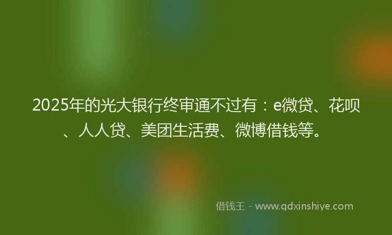 2025年的光大银行终审通不过有：e微贷、花呗、人人贷、美团生活费、微博借钱等。