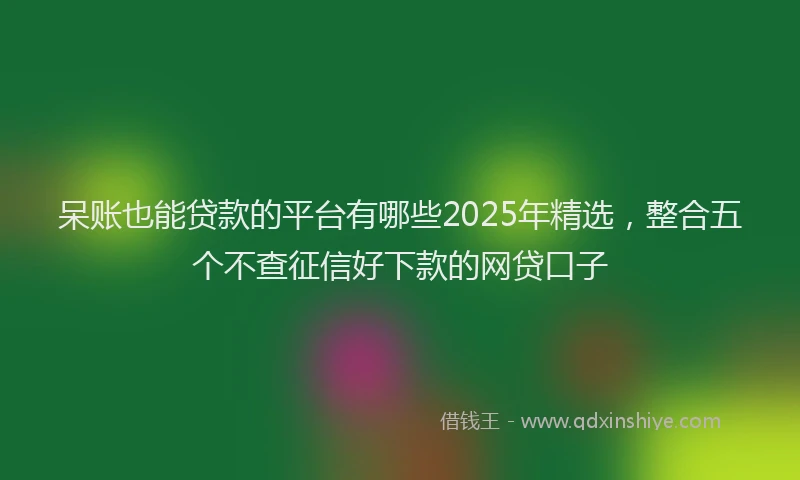 呆账也能贷款的平台有哪些2025年精选，整合五个不查征信好下款的网贷口子