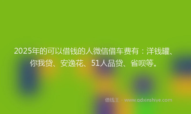 2025年的可以借钱的人微信借车费有：洋钱罐、你我贷、安逸花、51人品贷、省呗等。