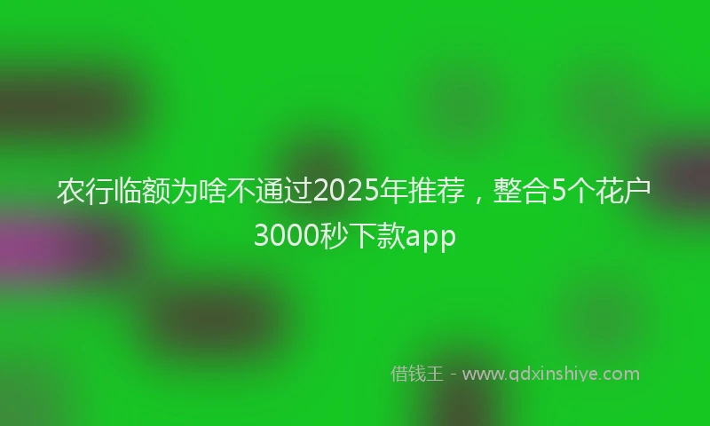 农行临额为啥不通过2025年推荐，整合5个花户3000秒下款app