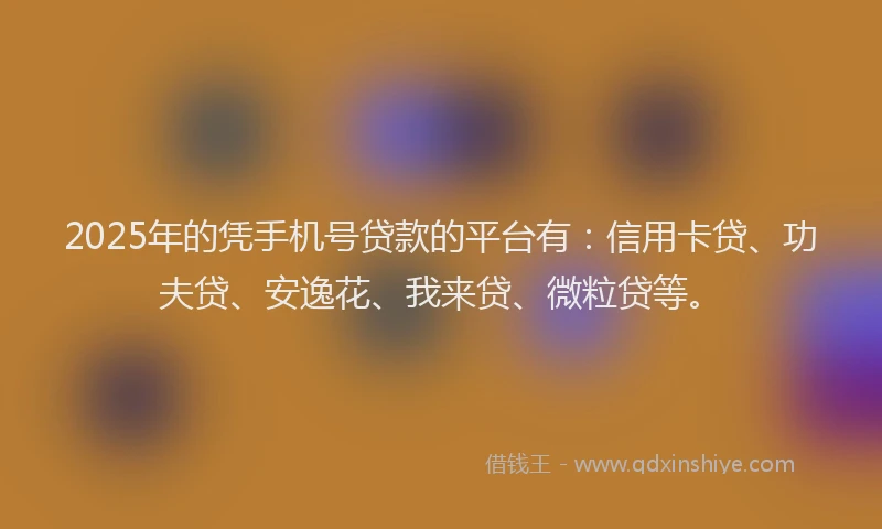 2025年的凭手机号贷款的平台有：信用卡贷、功夫贷、安逸花、我来贷、微粒贷等。