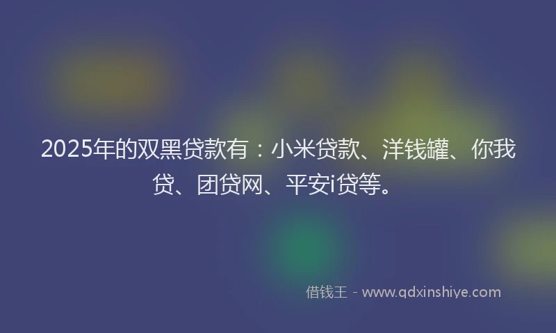 2025年的双黑贷款有：小米贷款、洋钱罐、你我贷、团贷网、平安i贷等。