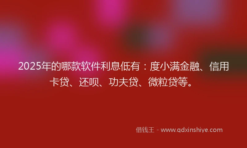 2025年的哪款软件利息低有：度小满金融、信用卡贷、还呗、功夫贷、微粒贷等。