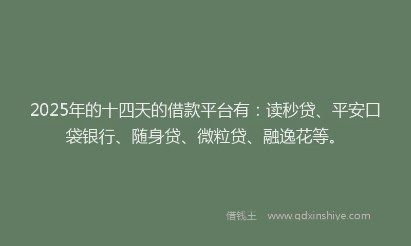 2025年的十四天的借款平台有：读秒贷、平安口袋银行、随身贷、微粒贷、融逸花等。