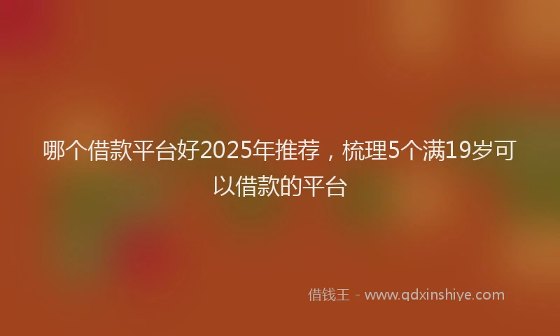 哪个借款平台好2025年推荐，梳理5个满19岁可以借款的平台