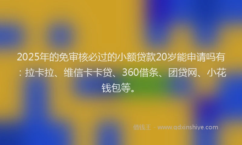 2025年的免审核必过的小额贷款20岁能申请吗有：拉卡拉、维信卡卡贷、360借条、团贷网、小花钱包等。