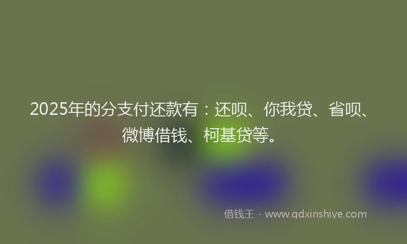 2025年的分支付还款有：还呗、你我贷、省呗、微博借钱、柯基贷等。
