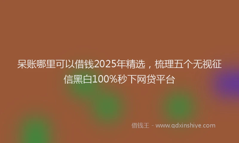 呆账哪里可以借钱2025年精选，梳理五个无视征信黑白100%秒下网贷平台