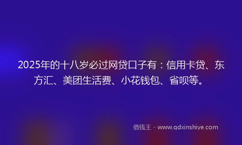 2025年的十八岁必过网贷口子有：信用卡贷、东方汇、美团生活费、小花钱包、省呗等。