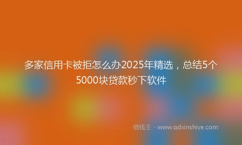 多家信用卡被拒怎么办2025年精选，总结5个5000块贷款秒下软件