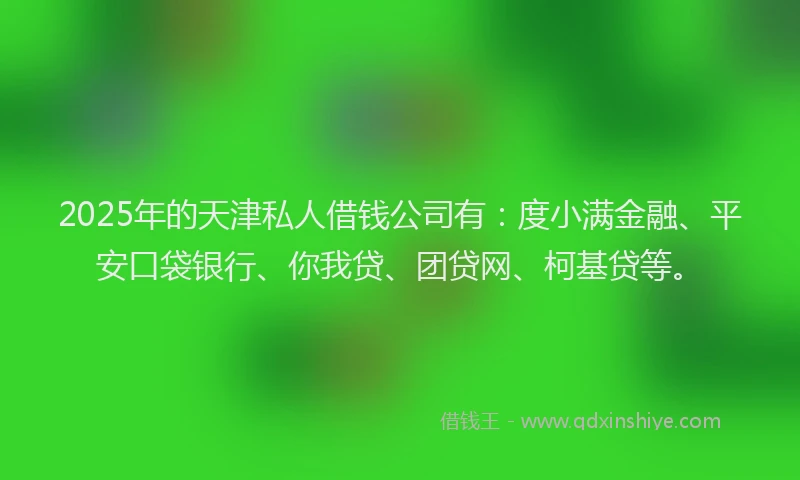 2025年的天津私人借钱公司有：度小满金融、平安口袋银行、你我贷、团贷网、柯基贷等。