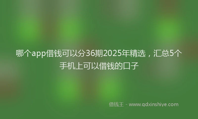 哪个app借钱可以分36期2025年精选，汇总5个手机上可以借钱的口子