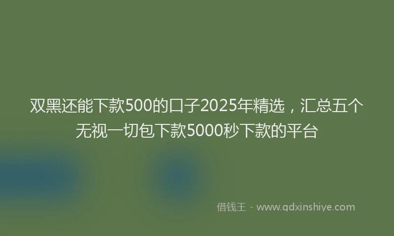 双黑还能下款500的口子2025年精选，汇总五个无视一切包下款5000秒下款的平台