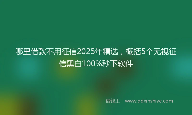 哪里借款不用征信2025年精选，概括5个无视征信黑白100%秒下软件