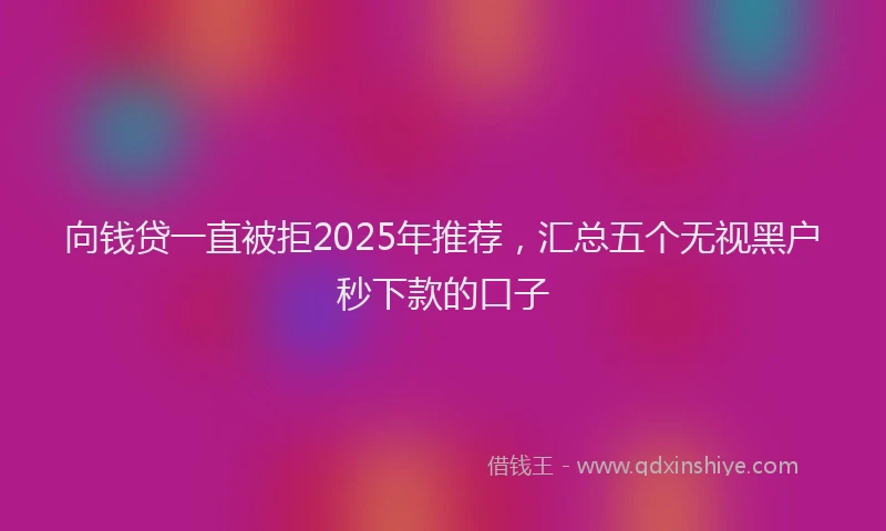 向钱贷一直被拒2025年推荐，汇总五个无视黑户秒下款的口子