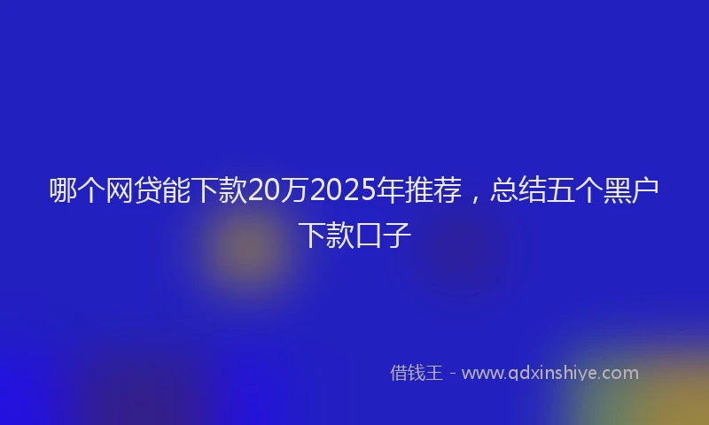 哪个网贷能下款20万2025年推荐，总结五个黑户下款口子
