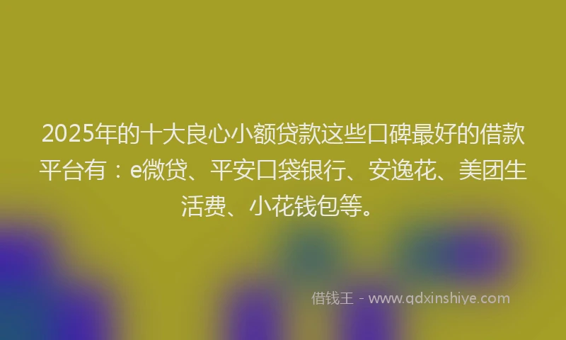 2025年的十大良心小额贷款这些口碑最好的借款平台有：e微贷、平安口袋银行、安逸花、美团生活费、小花钱包等。