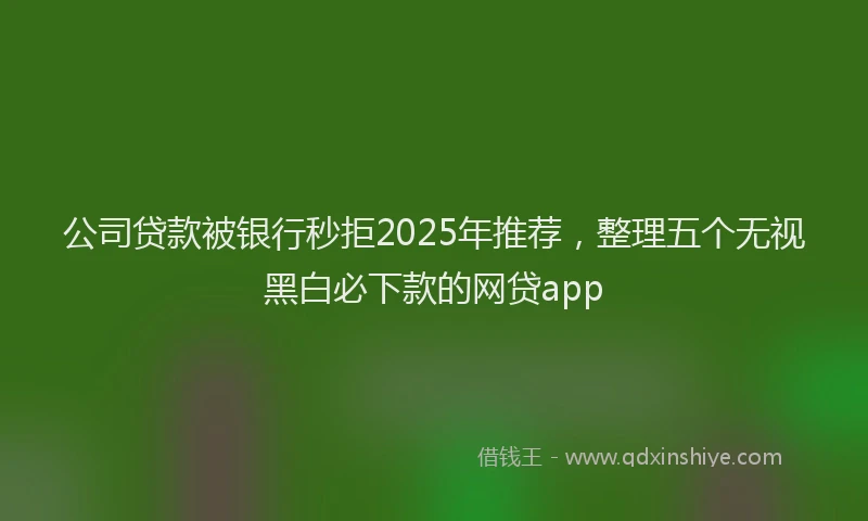公司贷款被银行秒拒2025年推荐，整理五个无视黑白必下款的网贷app